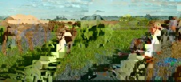 RANGER TRAINING EXPERIENCE Who wants to be a ranger