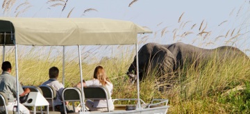 Okavango Delta Horse Safari accommodation Botswana