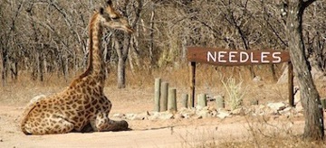 Hidden Gems Needles Lodge Accommodation South Africa