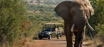 Sun City South Africa Accommodation South Africa