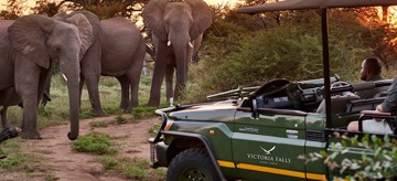 Masuwe Lodge & Chundu Island Accommodation Zimbabwa